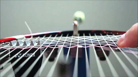 Animal gut was used to make the badminton racket strings